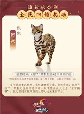 歪歪天龙八部私服直播